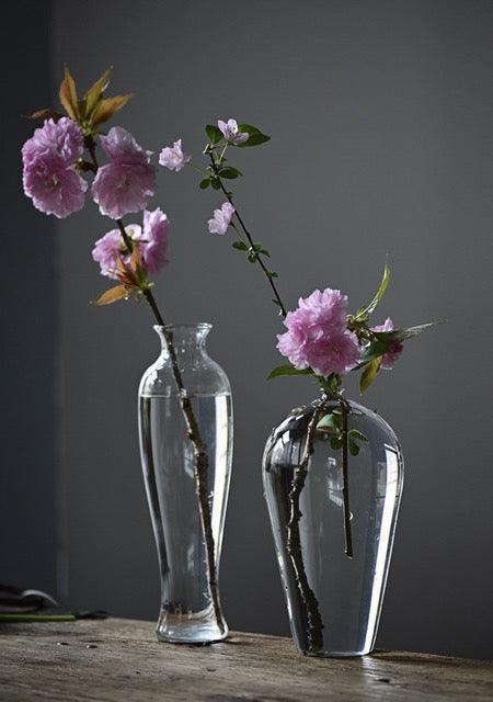 Japanische handgefertigte hydroponische Pflanzentransparente Glasvase