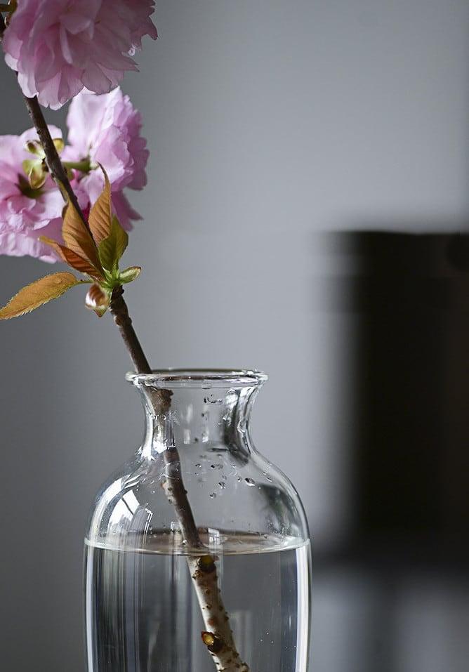 Japanische handgefertigte hydroponische Pflanzentransparente Glasvase