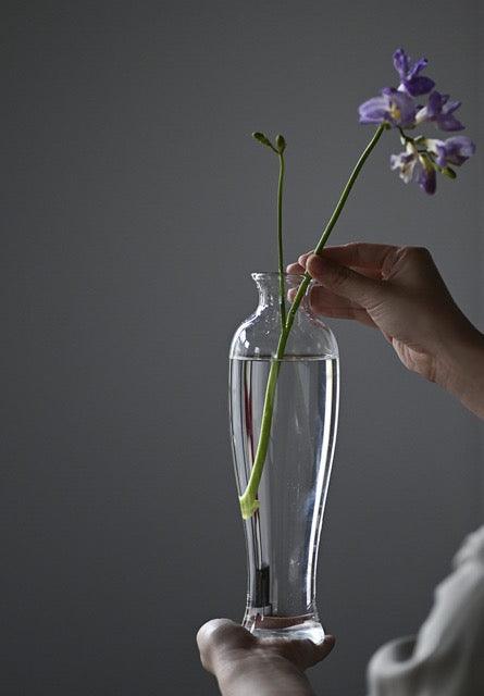 Japanische handgefertigte hydroponische Pflanzentransparente Glasvase