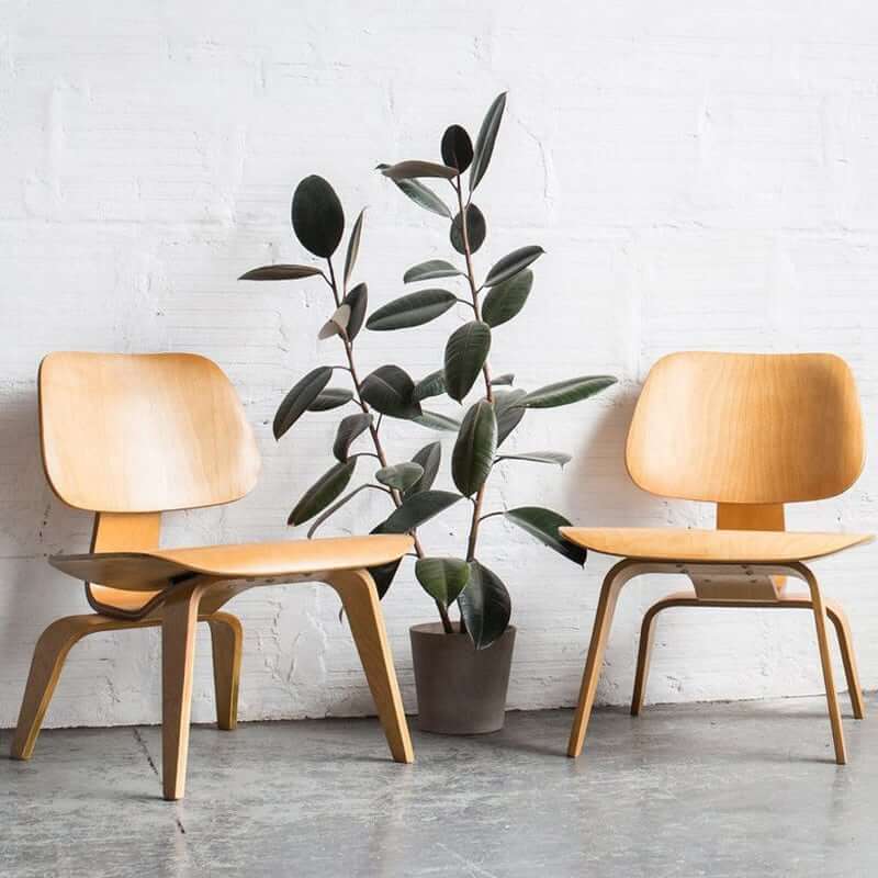 MP LCW - Classic Loungesessel | Lesestuhl