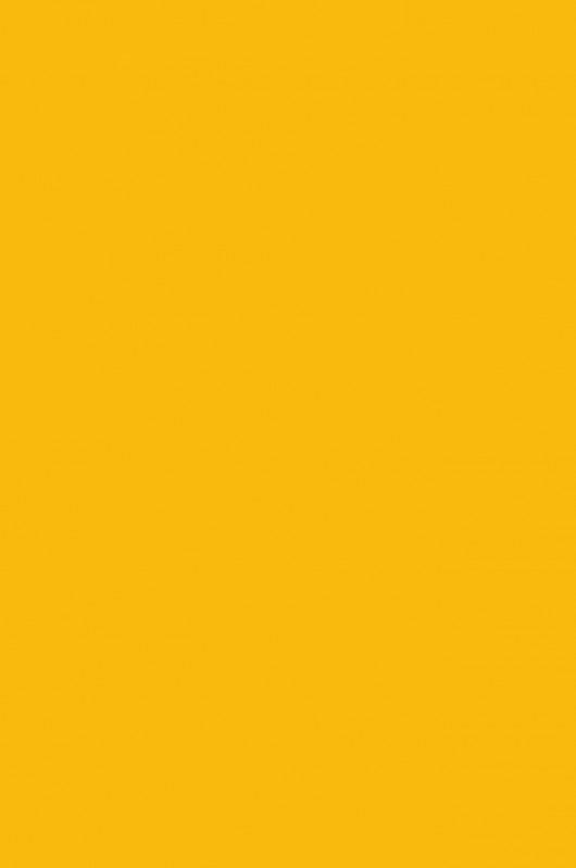 Cadmium Yellow Hue-213