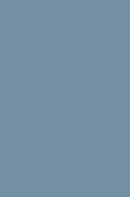 Cold Grau 795