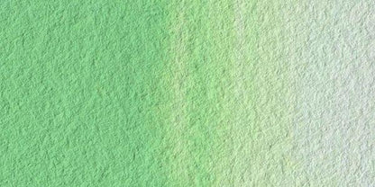 Veröffentlichen Grün-W271