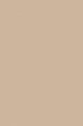 Flesh Tint-219