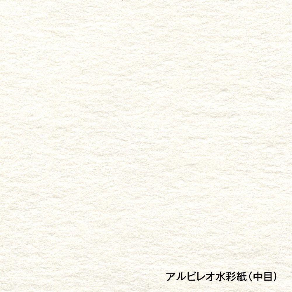 Holbein albireo Kaltpresse Aquarellpapier