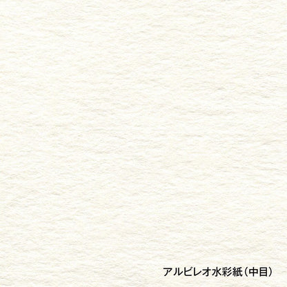 Holbein albireo Kaltpresse Aquarellpapier