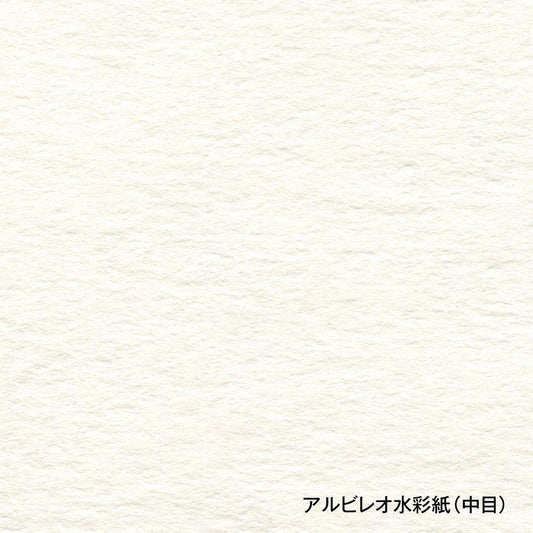 Holbein albireo Kaltpresse Aquarellpapier