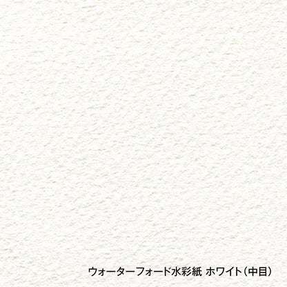 Holbein Waterford Cold Press Weißes Aquarellpapier für Künstler
