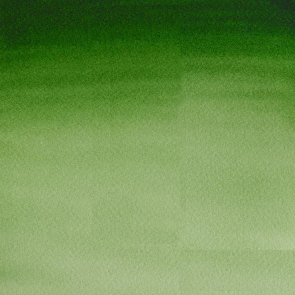 Hooker's Grün Light-314