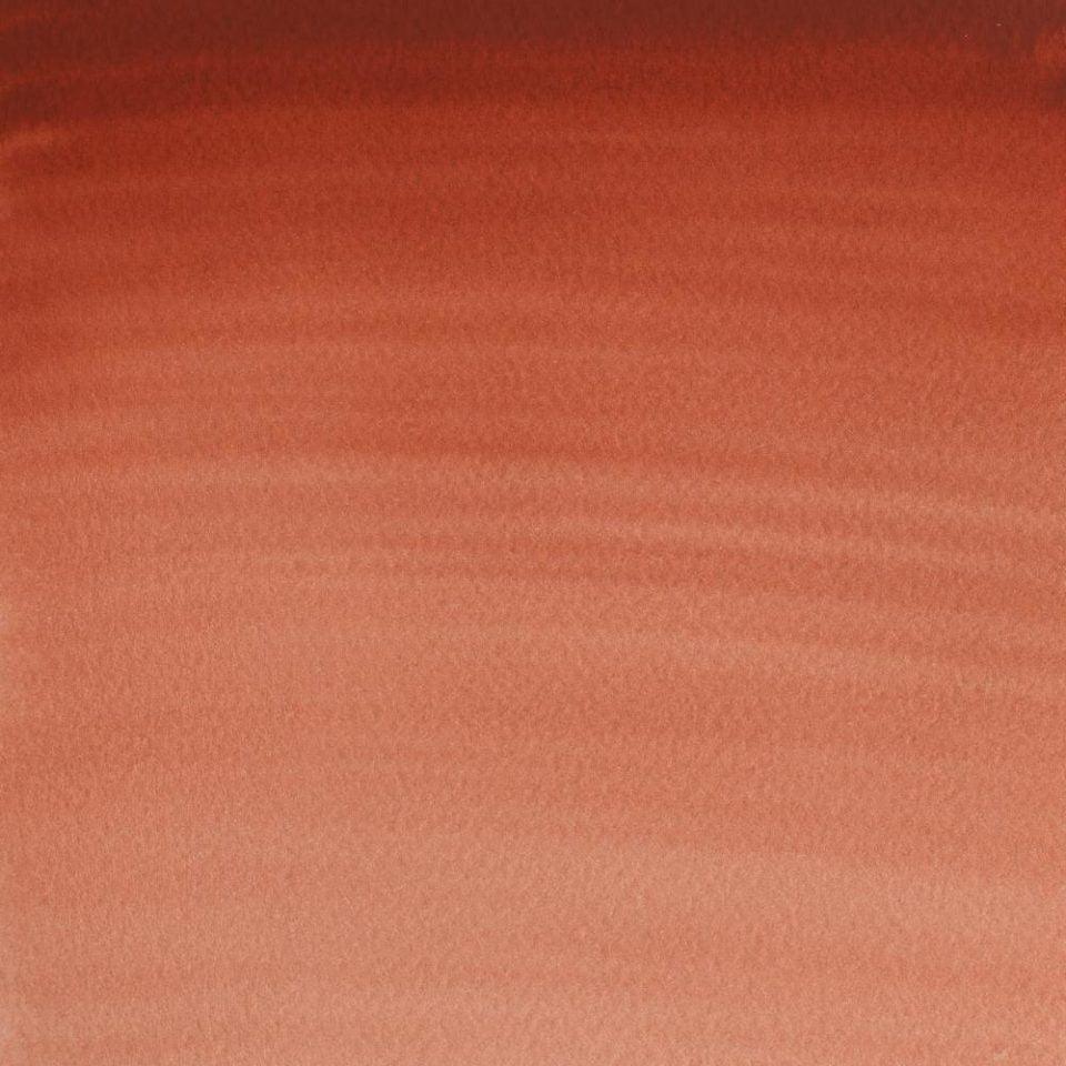 Light Rot-362