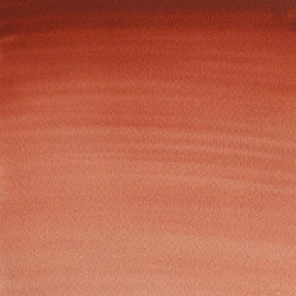 Light Rot-362