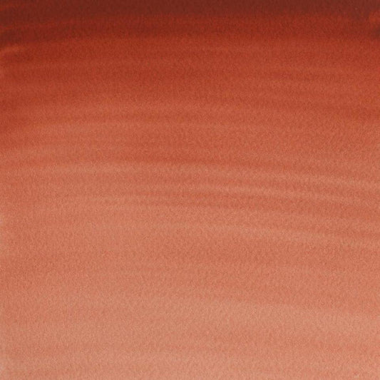 Light Rot-362