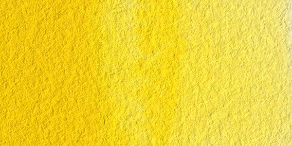 Permanent Yellow Light-W236