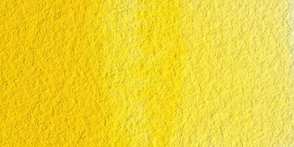 Permanent Yellow Light-W236