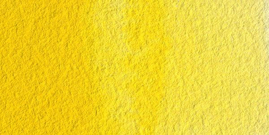 Permanent Yellow Light-W236