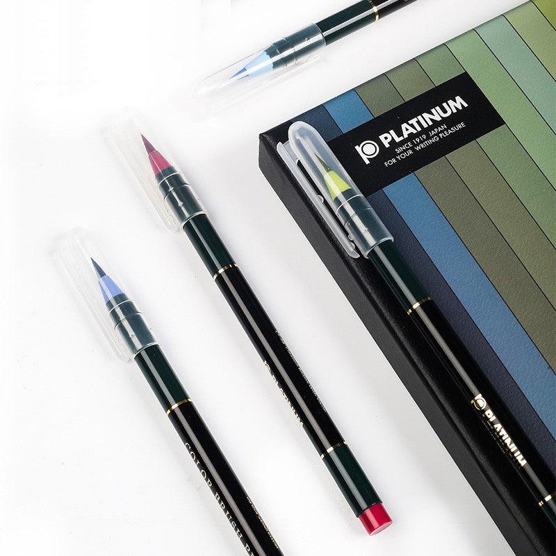 Platin 20 Farben Pinselstift-Set