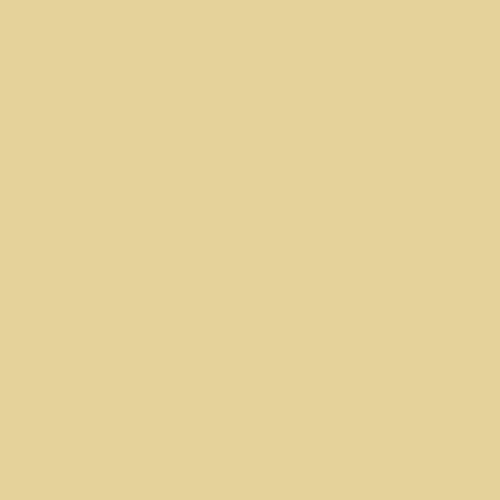 Sand-493
