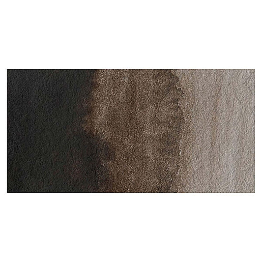 Sepia-W336