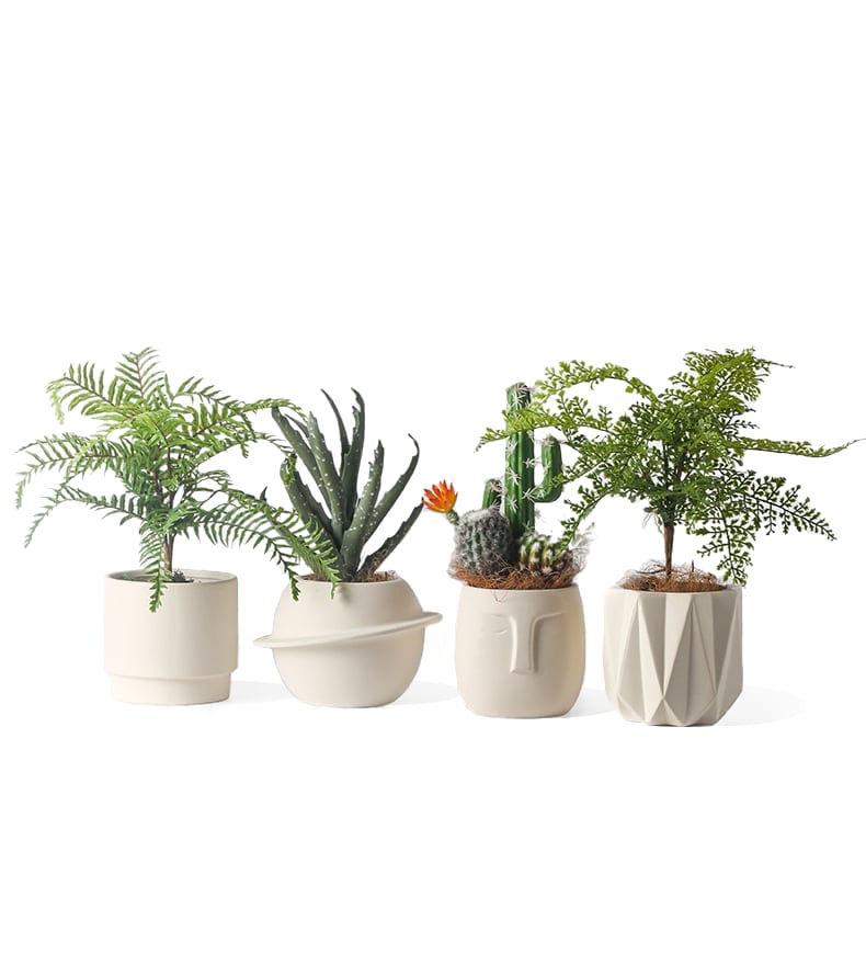 Pandora 4er-Set - Handgemachte Pflanzen Topf In / Outdoor Beige
