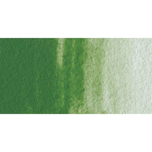 Terre Verte-W265